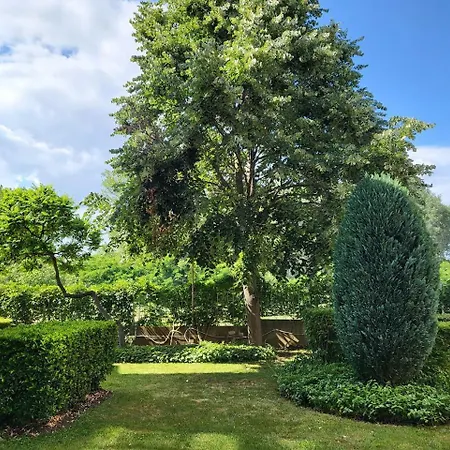 Apartament Complex Elit Cacao - For Rent- елит Sunny Beach